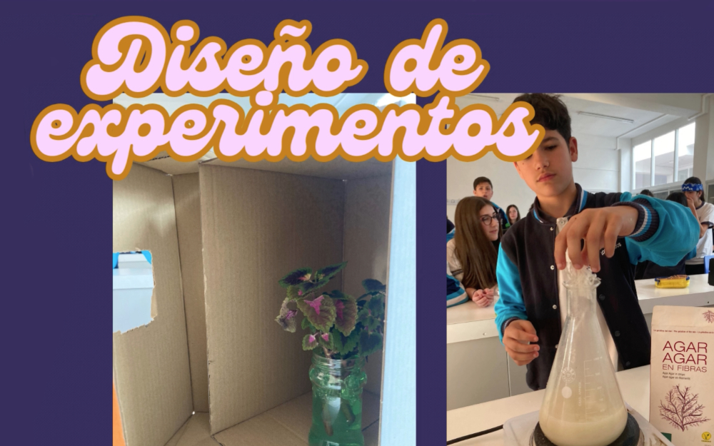 Colegio Concertado Los Naranjos. Fomentar Stem. Fuenlabrada