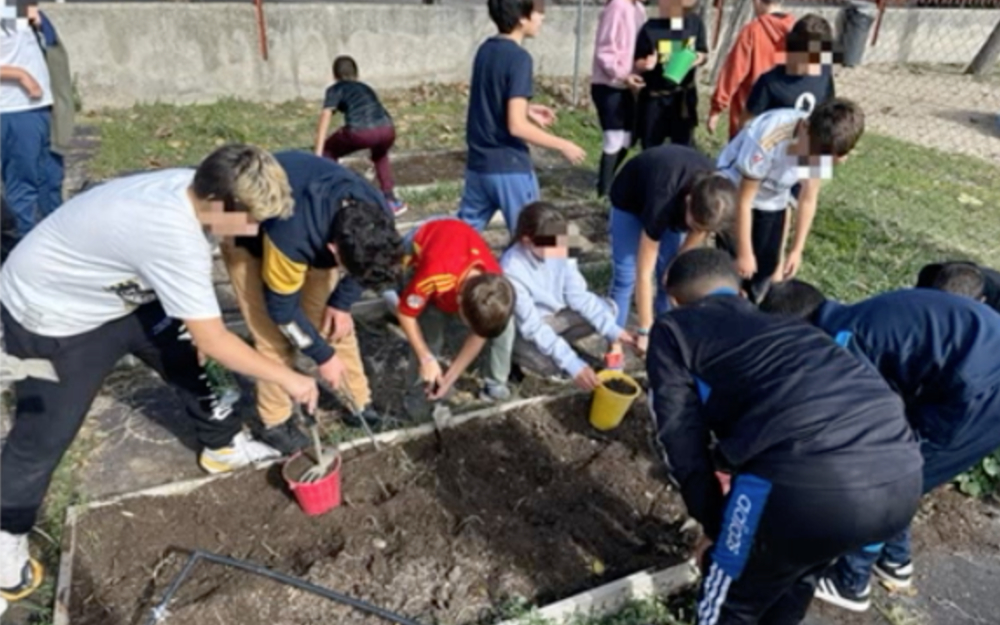 CEIP Velázquez. Huerto escolar. Fuenlabrada