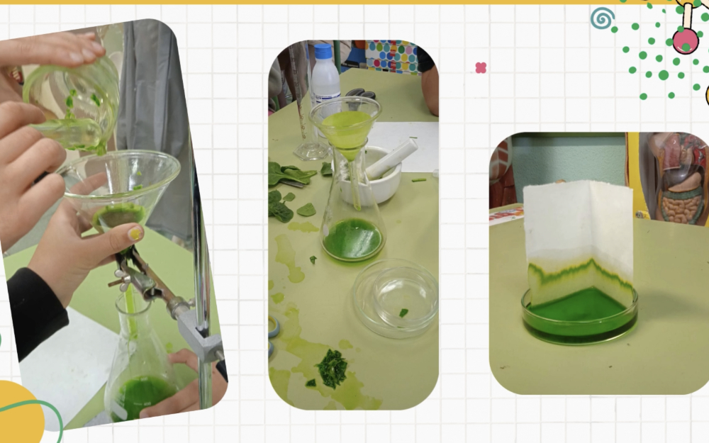 CEIP Dulcinea. Laboratorio. Alcalá de Henares