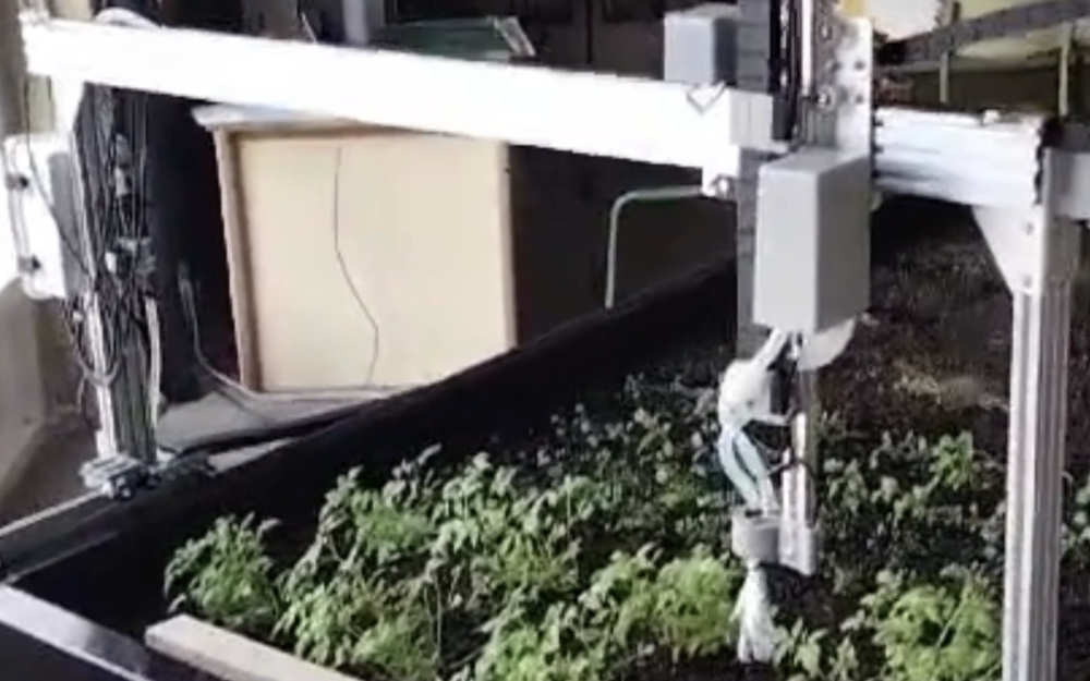 IES Matemático Puig Adam. Proyecto Huerto Tradicional – Robótico. Getafe