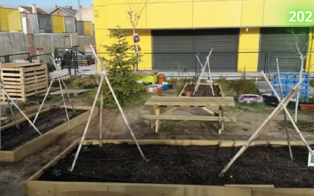 CEIP Margaret Thatcher. Ecoescuelas. Madrid – Barajas