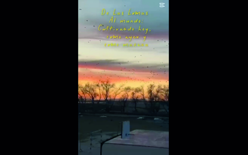 CDP SAFA Las Lomas. De Las Lomas al mundo. Vejer de la Frontera