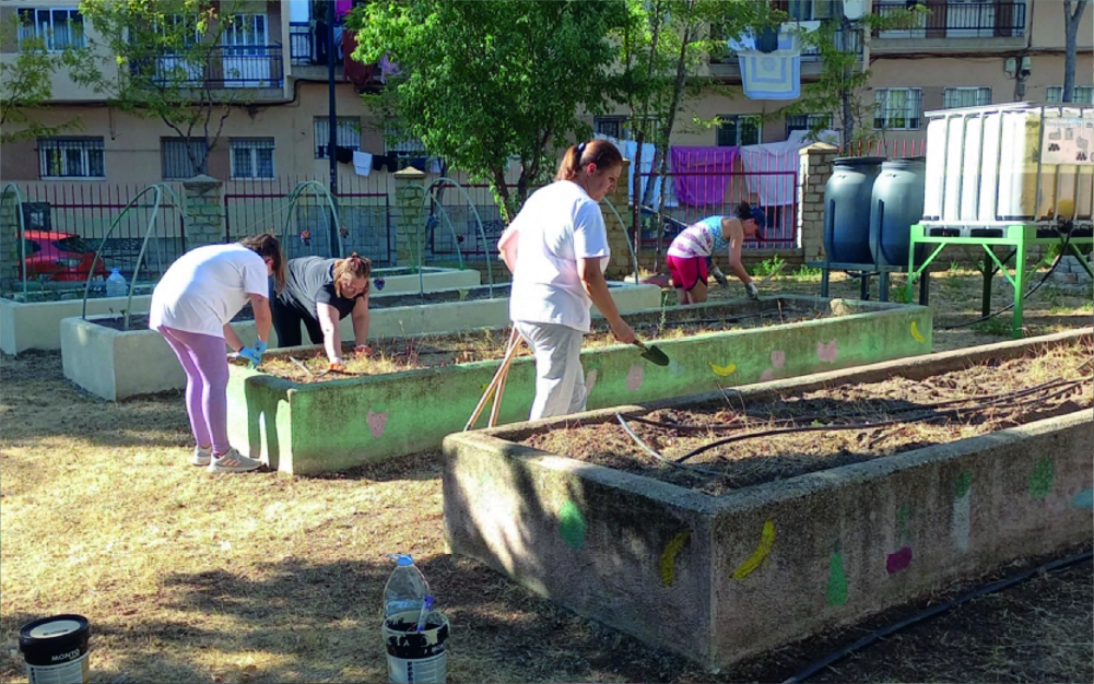 CEIP Caja de Ahorros. Verdulandia. Salamanca