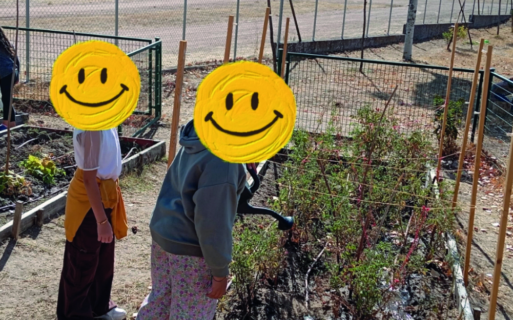 CEIP Eresma. Proyecto de Innovación Educativa Red de Escuelas Saludables. Segovia